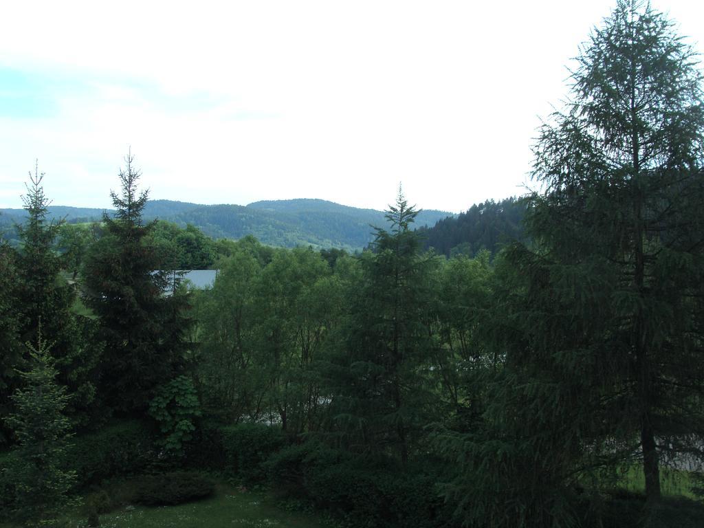 Angel Apartment Krynica Zdroj Eksteriør billede
